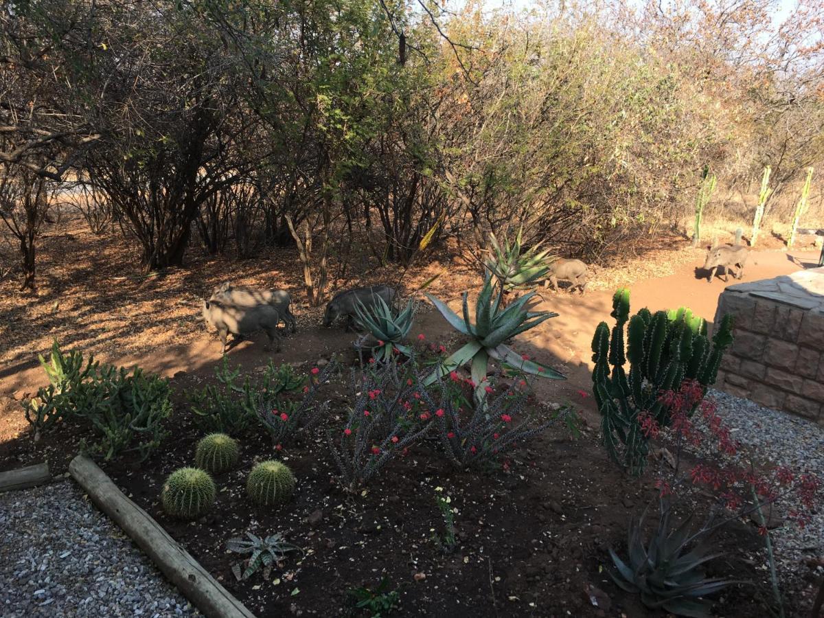 Giraffe Lodge Hoedspruit Exterior foto