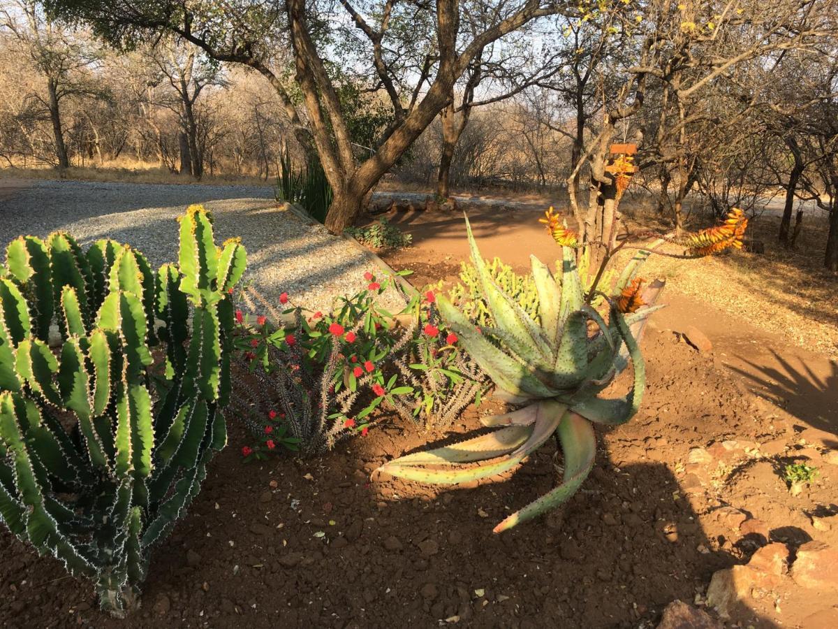 Giraffe Lodge Hoedspruit Exterior foto